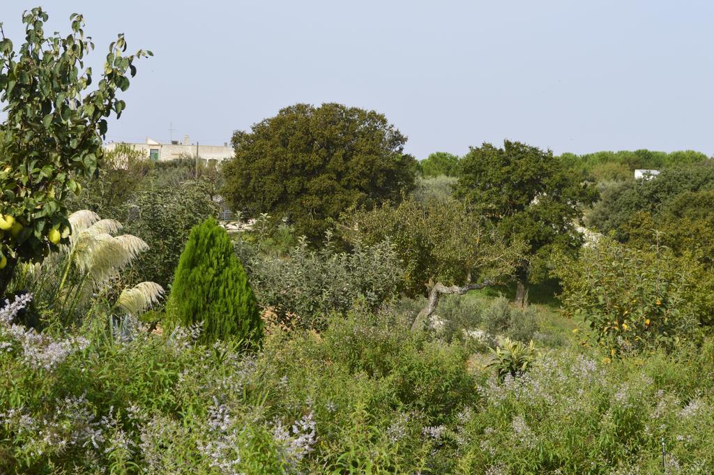 Bed & Breakfast Villa Lavanda Noci Room photo